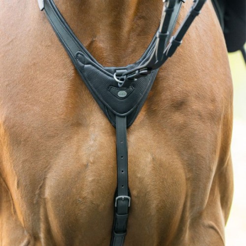 Cavalcade Martingale Azriel