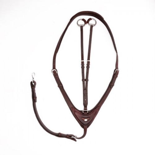 Cavalcade Martingale Azriel