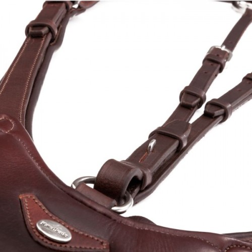 Cavalcade Martingale Azriel