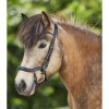 Waldhausen Anatomical Icelandic Bridle