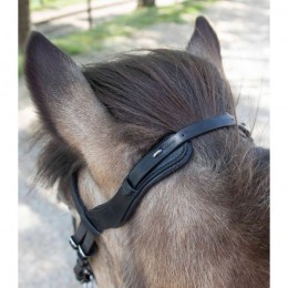 Waldhausen Anatomical Icelandic Bridle