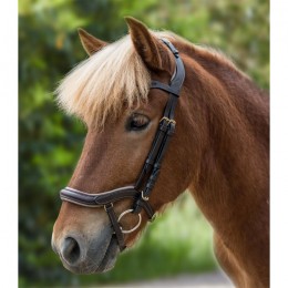 Waldhausen Anatomical Icelandic Bridle