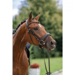 Covalliero Bridle Swedish