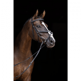 Covalliero Mexican Bridle