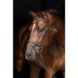 Covalliero Snaffle Bridle Classic