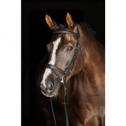 Covalliero Snaffle Bridle Standard