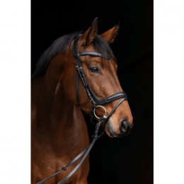 Covalliero Bridle Anatomical