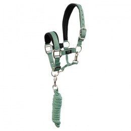 BR Mini Horse halter with rope