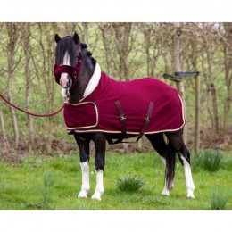 HB Showtime Harry and Hector Dutch Crown Showrug little sizes
