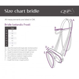 QHP Bridle Icelandic Frosti
