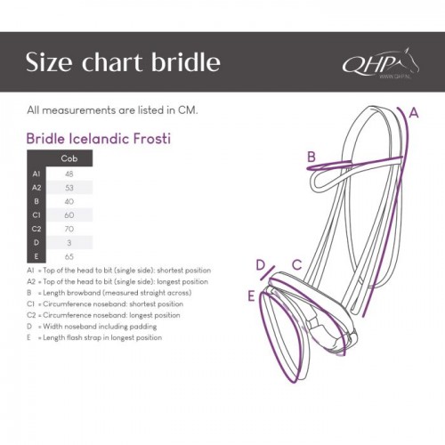 QHP Bridle Icelandic Frosti