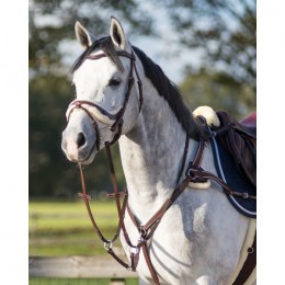 QHP Breastplate Ontario