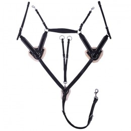 QHP Breastplate Ontario