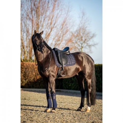 HB Showtime Saddlepad Glitty