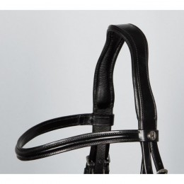 Harry's Horse Bridle Anatomic