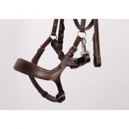 Harry's Horse Bridle Release