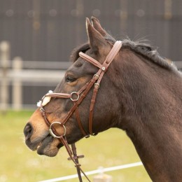 Harry's Horse Bridle Mexican