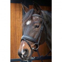 Harry's Horse Bridle Soft Bombastic Black Edition