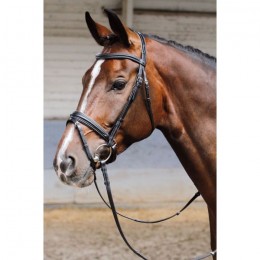 Harry's Horse Bridle Soft