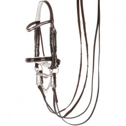 Harry's Horse Double Bridle Chique
