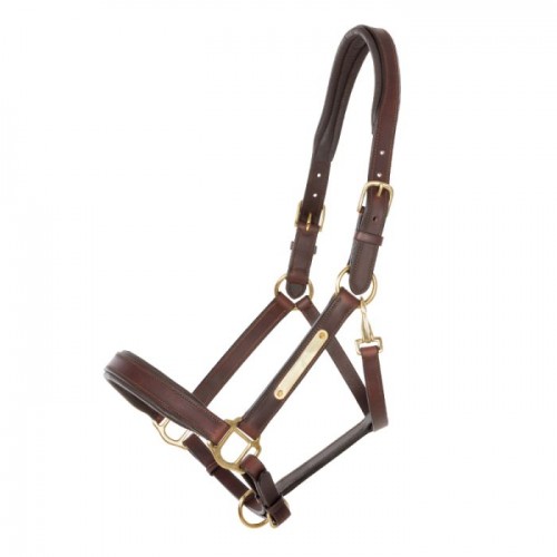 Kavalkade Leather Halter Cinta