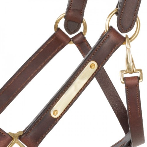 Kavalkade Leather Halter Cinta