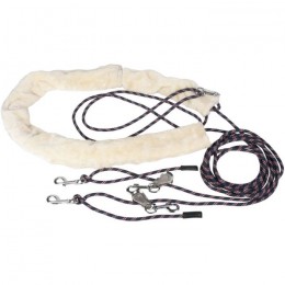 Harry's Horse Lunging support system