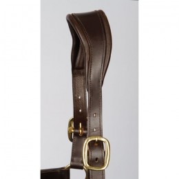 Harry's Horse Halter Leather Anatomic