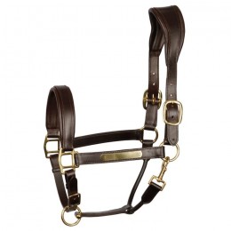 Harry's Horse Halter Leather Anatomic