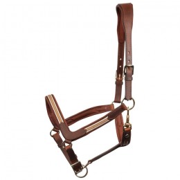 Harry's Horse Halter Leather Flash