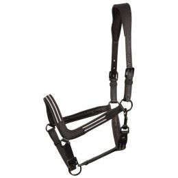 Harry's Horse Halter Leather Flash
