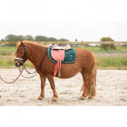 Harry's Horse SS25 Kinderzadel LouLou