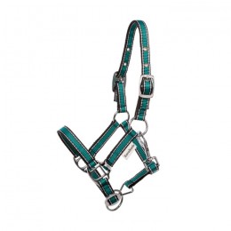 Kavalkade Shetty Halter Shorty