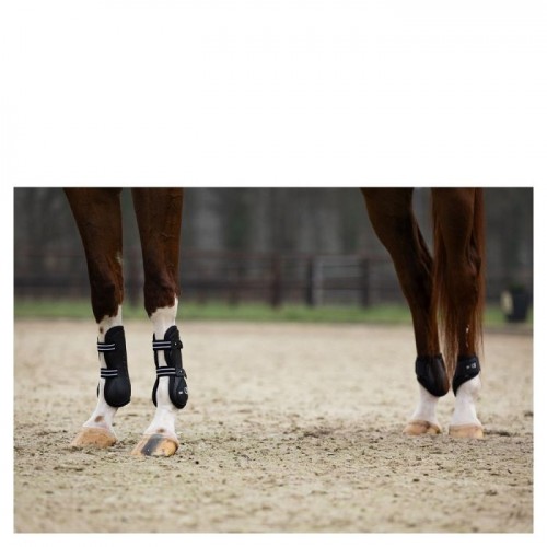 BR XO2 Tendon Boots