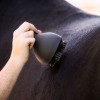 Imperial Riding Massage Brush Volta