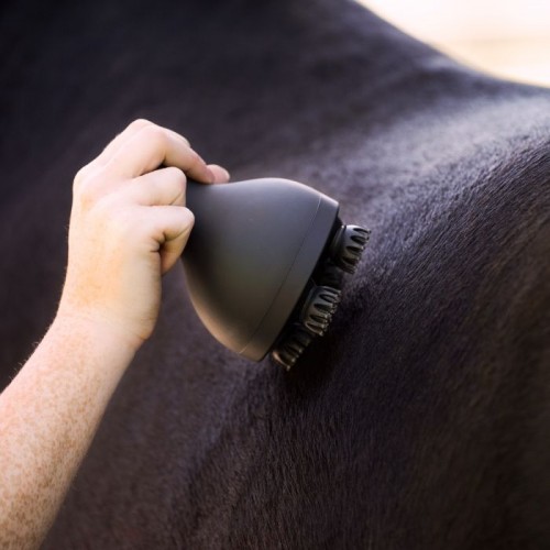 Imperial Riding Massage Brush Volta