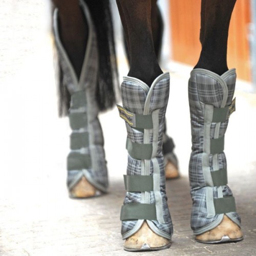 Kavalkade Montreal Travel Boots