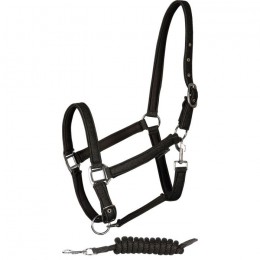 Harry's Horse Headcollar Set Glitter