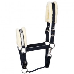 Harry's Horse Headcollar Lyrics V