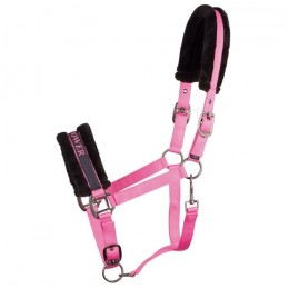 Harry's Horse Halster Lyrics Quotes