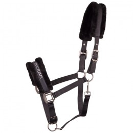 Harry's Horse Halster Lyrics Quotes