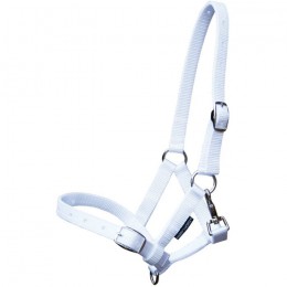 Harry's Horse Foal Headcollar