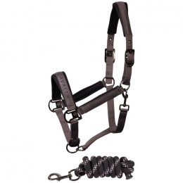 Harry's Horse SS25 Halsterset Satin Denici Cavalli Shadow