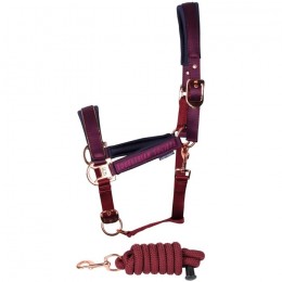 Harry's Horse FW'24 Halter Set Kirchberg