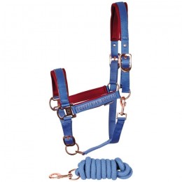 Harry's Horse FW'24 Halter Set Kirchberg