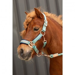 Harry's Horse SS25 Halsterset Samara