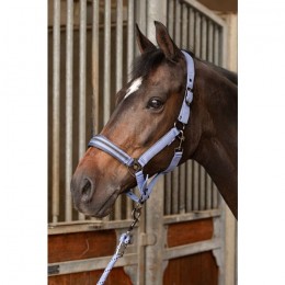 Harry's Horse SS25 Halsterset Samara