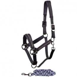 Harry's Horse SS25 Halsterset Valli