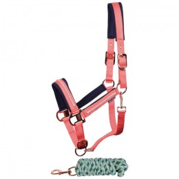 Harry's Horse SS25 Halsterset Valli