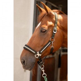 Harry's Horse SS25 Halsterset Valli